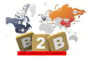 駐馬店新聞網(wǎng)代開會(huì)員 長春網(wǎng)絡(luò)公司